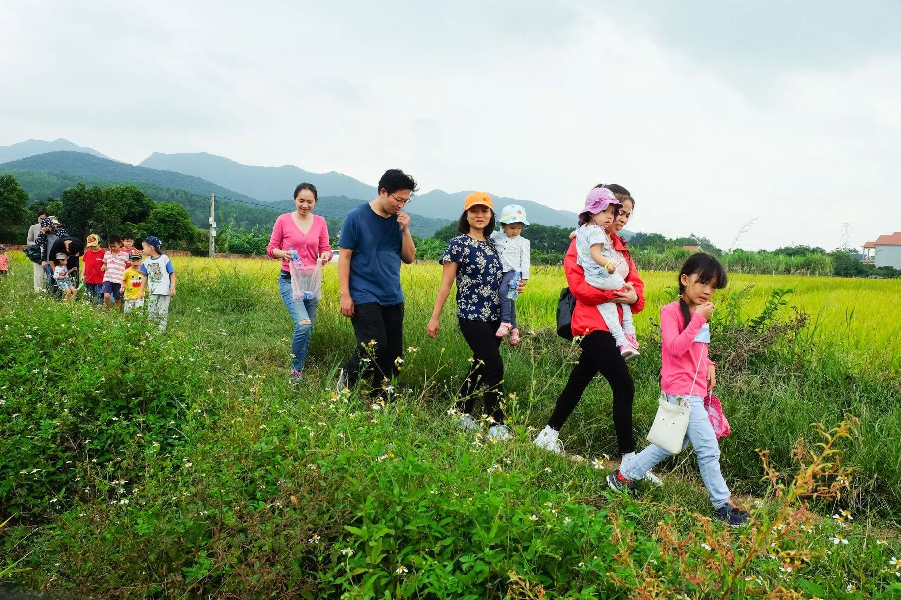 Ảnh 9fe266e8-93cf-4833-8729-9245a6b3b12b