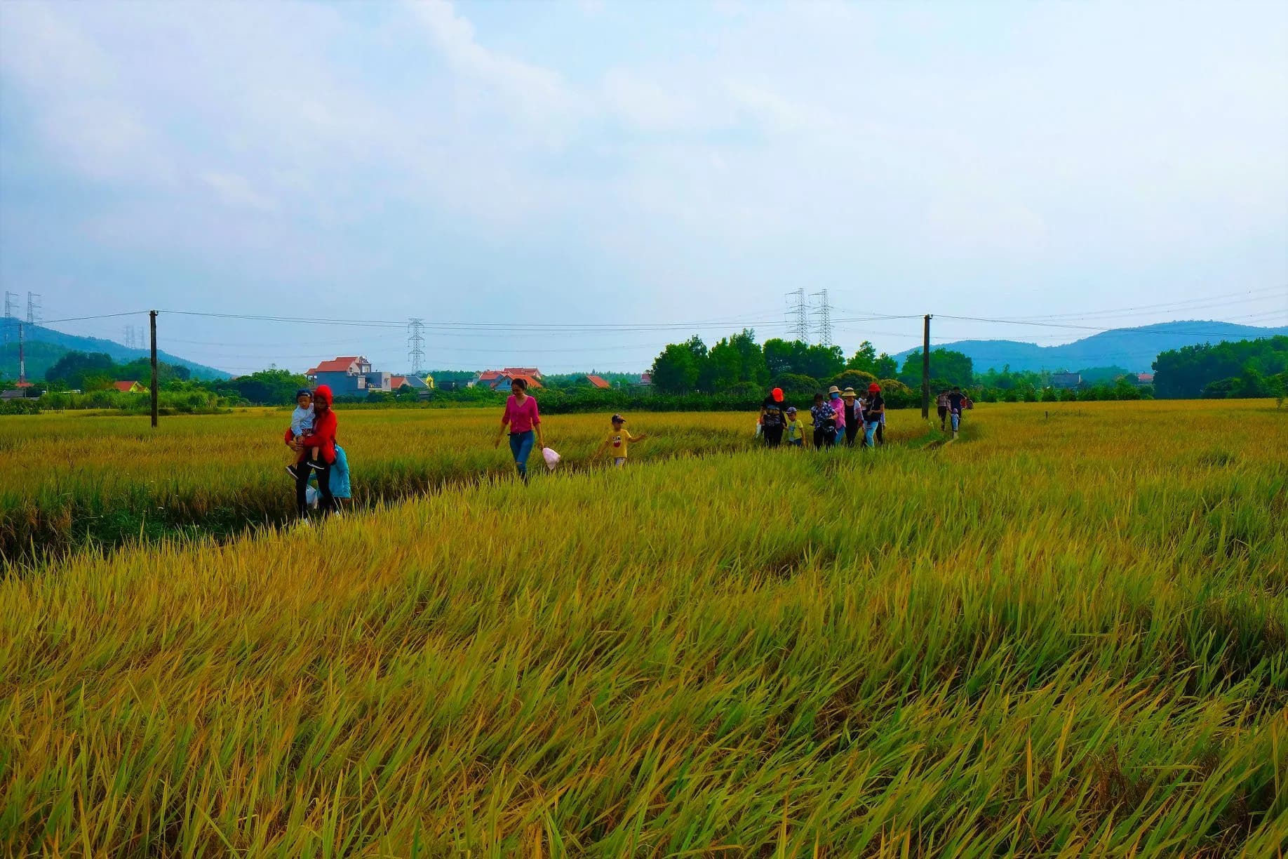 Ảnh b5657033-1374-407d-b21b-1309c96cf4e4