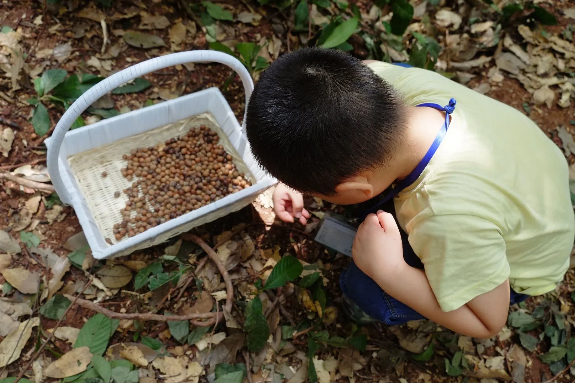 Ảnh 9ebb9859-aae1-4731-894c-e83489d4e46e