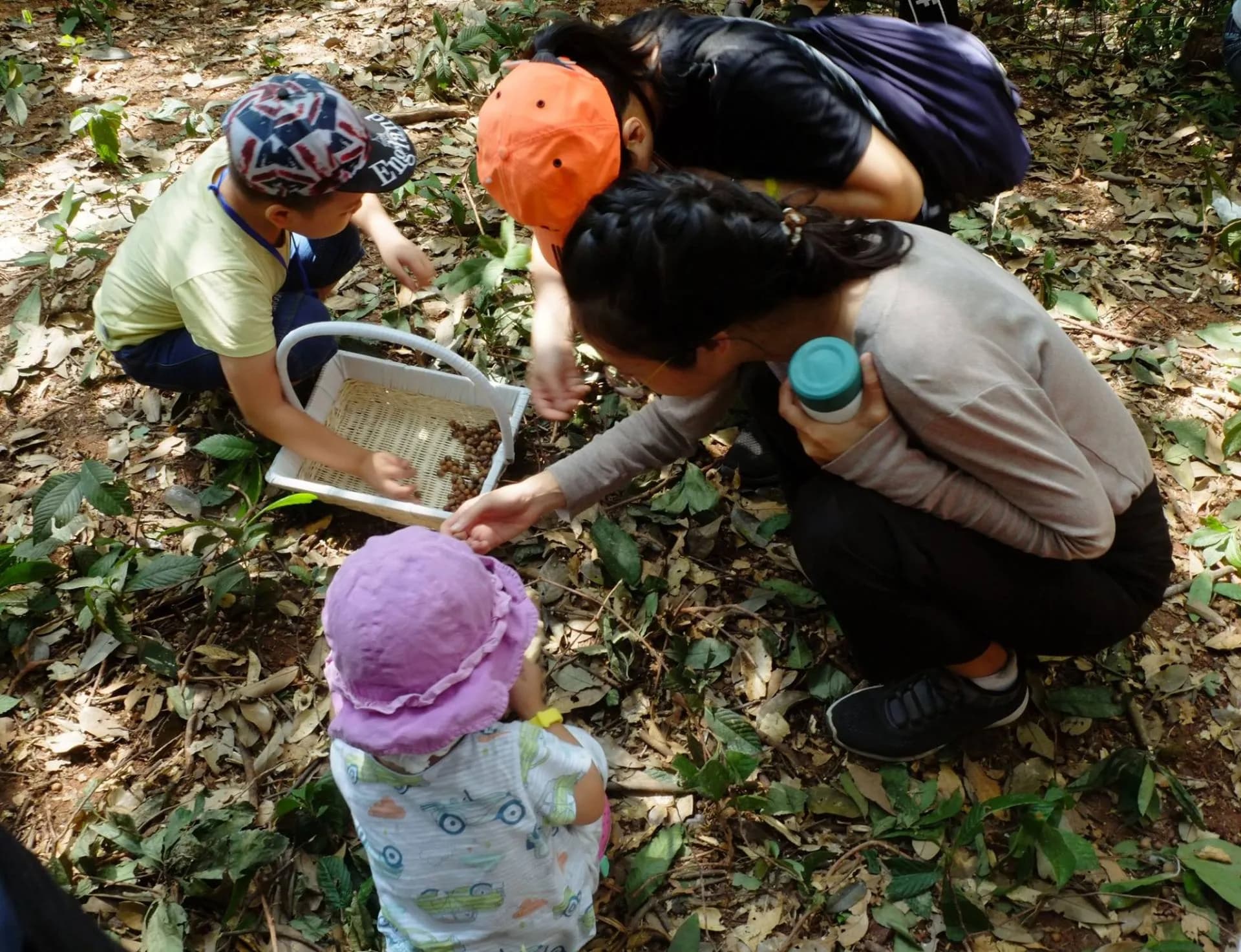 Ảnh 9655a1a7-9752-4b07-a6c5-6b8c653d7fa1