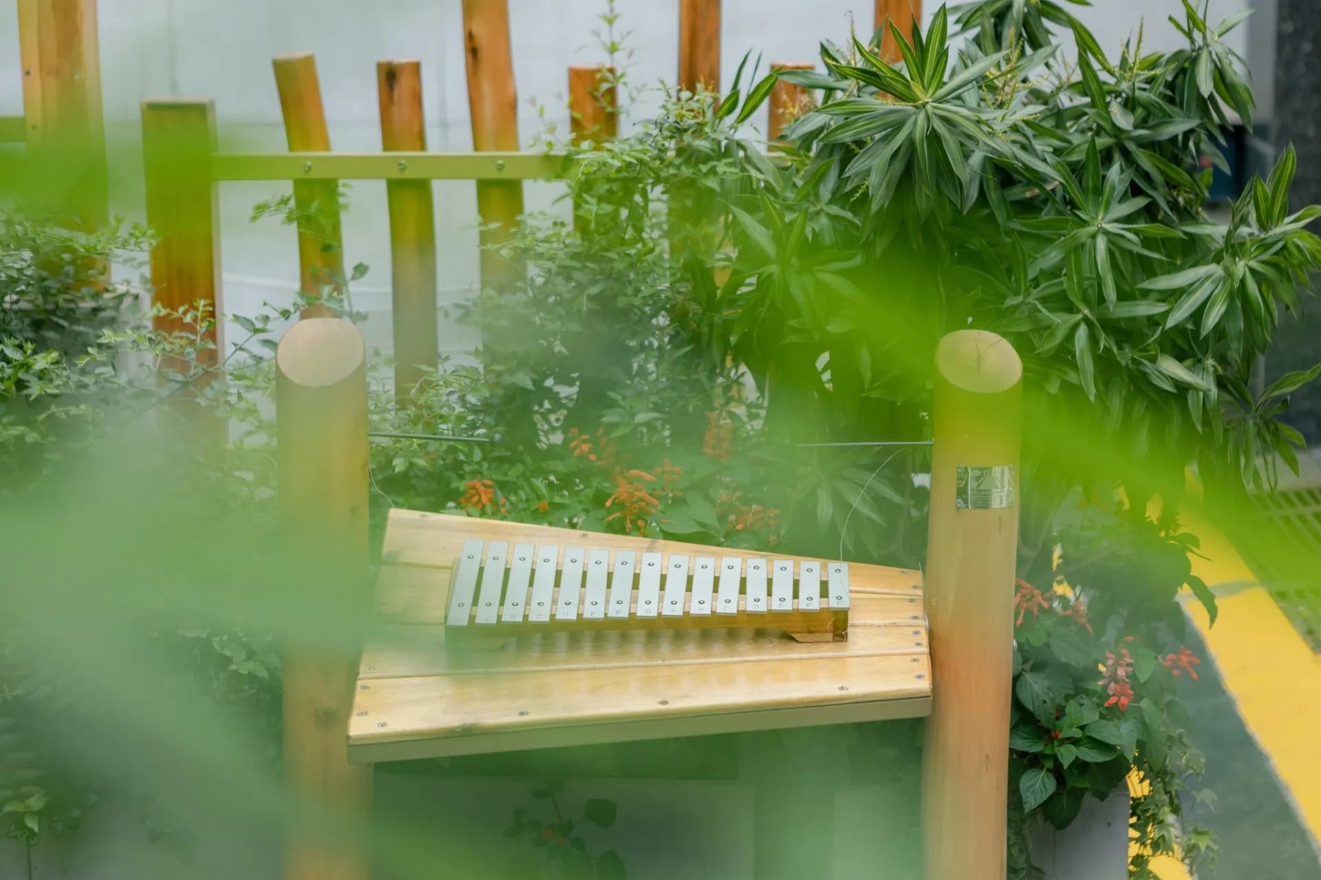 Ảnh 6dba9bdc-fbf2-49b7-bc5f-e8cec05101ae