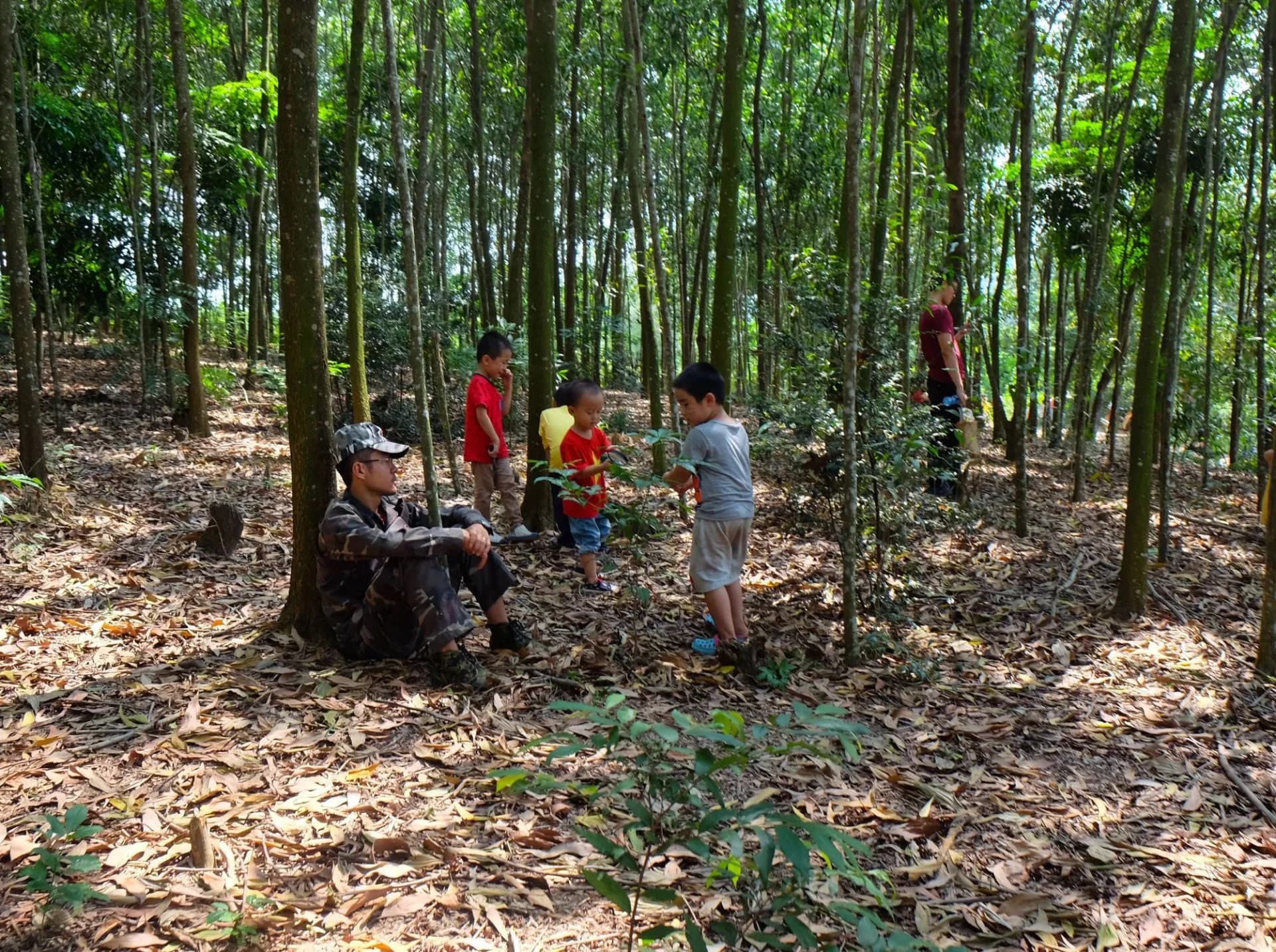 Ảnh 036fa175-51b5-4482-87a2-62d75f0596c0